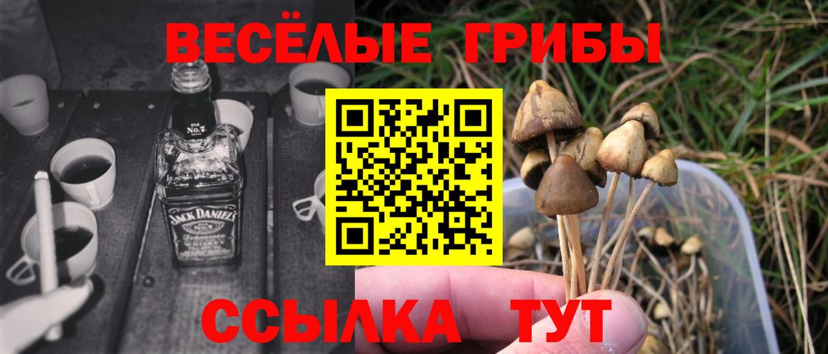 Галлюциногенные грибы GOLDEN TEACHER Большой Камень